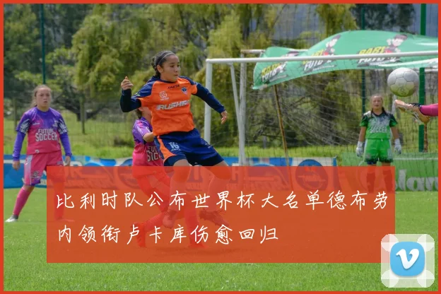 比利时队公布世界杯大名单德布劳内领衔卢卡库伤愈回归