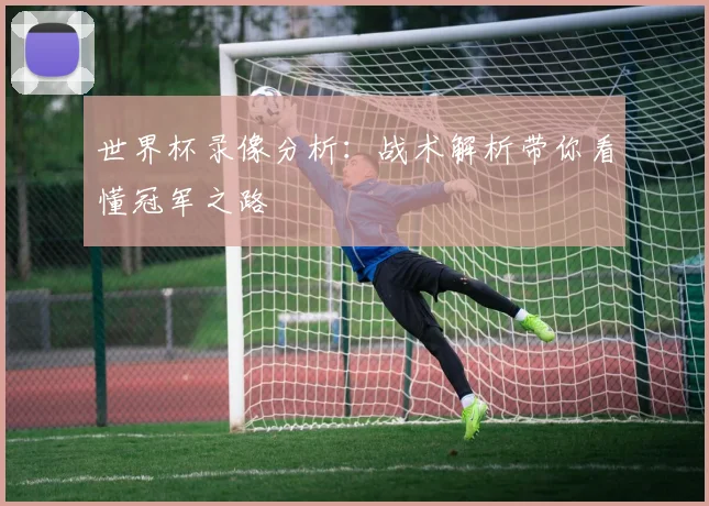 世界杯录像分析：战术解析带你看懂冠军之路